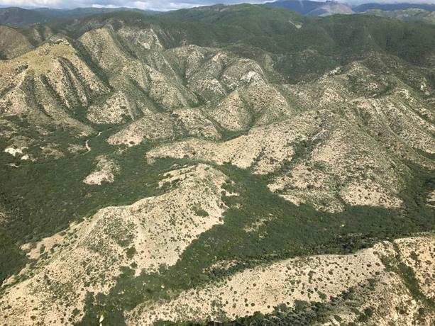 Presidente Danilo Medina llama a evitar igualarnos a Haití por la deforestación