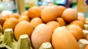 Hasta la fecha, 17 países encontraron niveles elevados de fipronil en huevos importados de Holanda