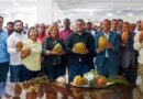 Industria del coco recibe financiamiento de 883 millones de pesos del Gobierno