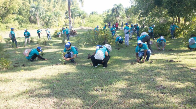 Voluntarios de La Nacional agachados junto a plántulas durante una jornada de reforestación en Monte Plata.